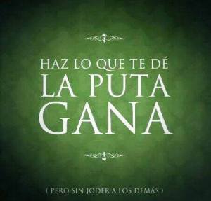 10170909_10203738965224474_1563433904_n