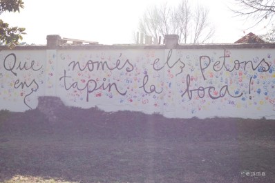 11655256066_32847e00ee_b