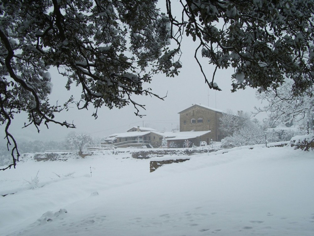 20-RuralVerd-casa-rural-Lladurs-(Solsonès-13517